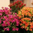 동유주유소 이미지