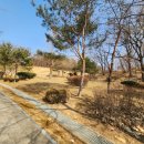 못골공원 이미지