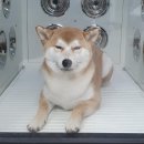 몽스빌리지 이미지