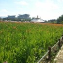 늘푸른공간 이미지