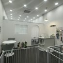 아토그루밍 이미지