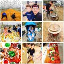 석우농장 이미지