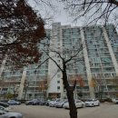 마곡중앙3로 이미지