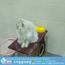 수지동물의료원 이미지