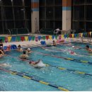 논산시공공시설사업소(논산국민체육센터) 이미지