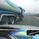 내사랑 강아지 이미지