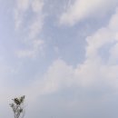 신생건강원 - 동구 옻밭2길 78 | 변산반도 카라반캠핑, 샹그릴라펜션에서 여름휴가 보내다