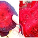 현선농장 이미지