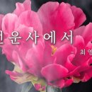 꽃이 지는 건 쉬워도 잊는 건 한참이더군 | 선운사에서 - 최영미 | 시낭송 이미지