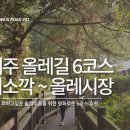 산길따라 | 제주 올레길 6코스 산길이 무서운 초심자들을 위한 코스 추천