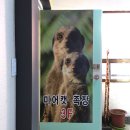 족장 | 무해한 귀여움 폭발! 건대 미어캣족장 후기