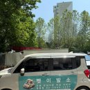 댕댕이 이발소 이미지