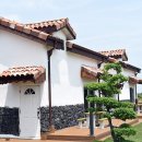 비자림힐링펜션 이미지