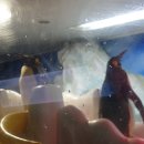 구라미농장 | 아쿠아플라넷 63 후기 (2019년 7월 20일 방문)