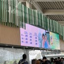 오페라하우스아파트 앞 교통섬 | 🇭🇰03 홍콩여행 | 란타우섬 당일치기 근교 여행 (옹핑, 타이오, 센트럴, 침차이키, 청힝키)