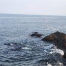 바로공인중개사사무소 | 법률 경험으로 더 안전한 조례동공인중개사 송천부동산의 특별한 부동산 중개