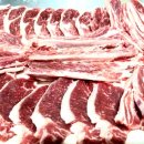 개구리목장 이미지