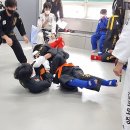 한국형종합격투기진접공권유술