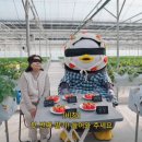 [EP.427] 11만원 호텔 딸기 뷔페 제대로 즐기는 법? | 펭수 대신 딸기가 철 들었어요🍓 화면캡쳐1️⃣ 이미지