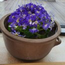 한국철도공사 인재개발원 이미지