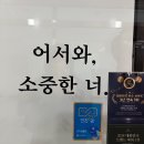 천연염색헤어샵 | [신검단미용실 추천] 26도헤어 신검단중앙역점｜염색 잘하는 검단헤어샵, 탈색 없이 매트애쉬 후기