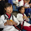 한마루태권도체육관 이미지