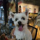 비에이치씨경기광주역점