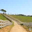 고운힐링팜 이미지