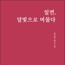 김은령 시인의 불교소설 『일연, 달빛으로 머물다』(‘詩와에세이, 2022) 이미지
