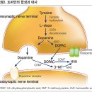 셀레길린(Selegiline) vs 사피나미드(Safinamide) 정신신경계 약물 이미지