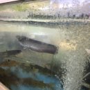 일죽당촌길 이미지