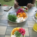 쿠킹독 | 발리 우붓 쿠킹 클래스 Garlic Bali Cooking Class 솔직 후기