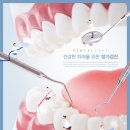 앞선치과기공소 네이버블로그