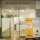 웰니스 펫뷰티 이미지