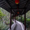 원림초등학교 이미지