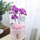 인스나인유치원 이미지