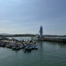 무안명가 | 전남바다여행맛집 무안명가에서 낙지코스 먹어본 후기