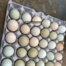 형제봉 농장 이미지