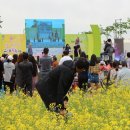 어울림오성