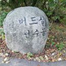 버드실샘 네이버블로그