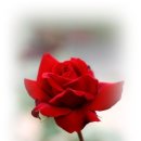 사교댄스(기초) 이미지