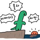 홍이v