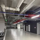 새건강 동물약국 | [공지] [인덕원]창고형 약국매장 오픈🎉올케어아울렛 온약국 다녀온후기 (365일 오픈)