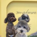 송단이네 반려견미용실 이미지