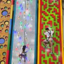 보현산자연휴양림 산 이미지