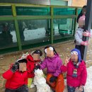 석성숲유치원 이미지