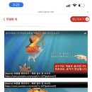 해와달비디오