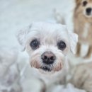 개스트룸 이미지