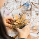 아그네스 이미지