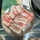 돼지벅스 이미지